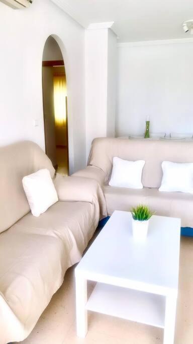 Apartamento - Playa El Campello Urbanizacion Jardin Del Mar Eksteriør bilde