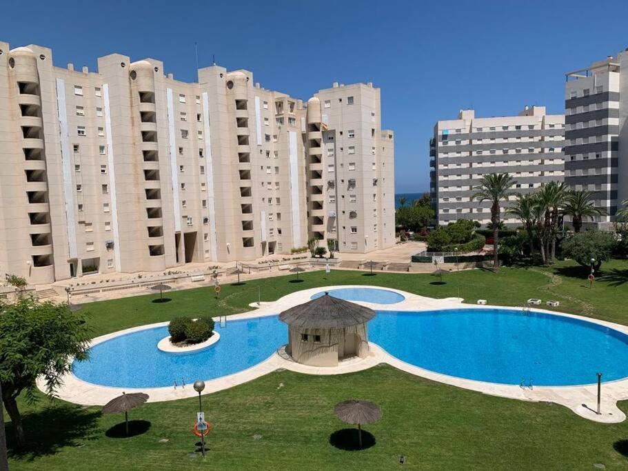Apartamento - Playa El Campello Urbanizacion Jardin Del Mar Eksteriør bilde